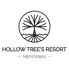Hollow Tree logo
